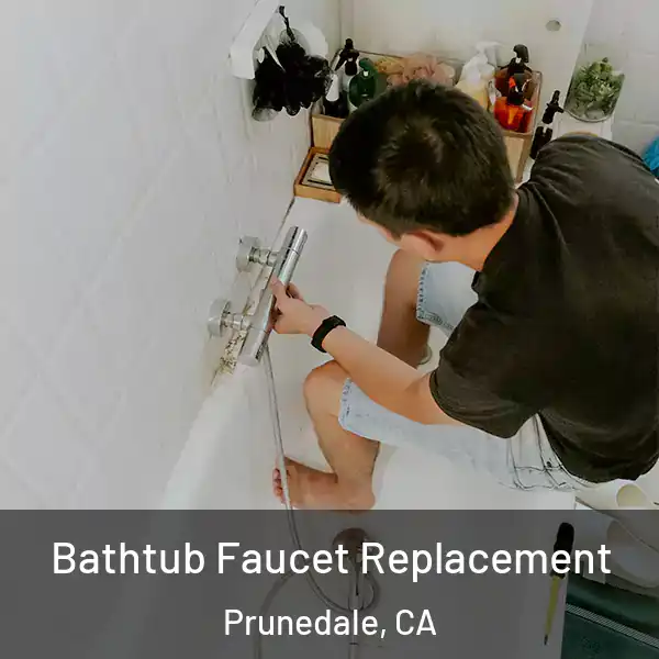  Bathtub Faucet Replacement Prunedale, CA
