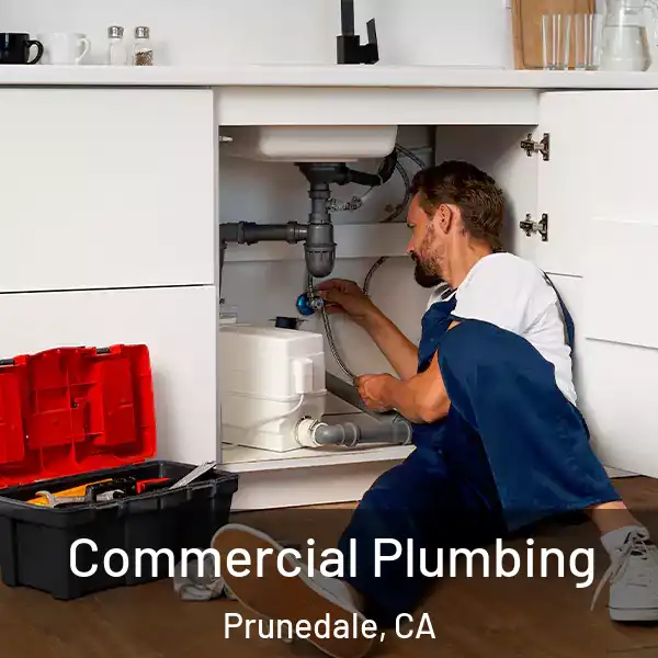  Commercial Plumbing Prunedale, CA