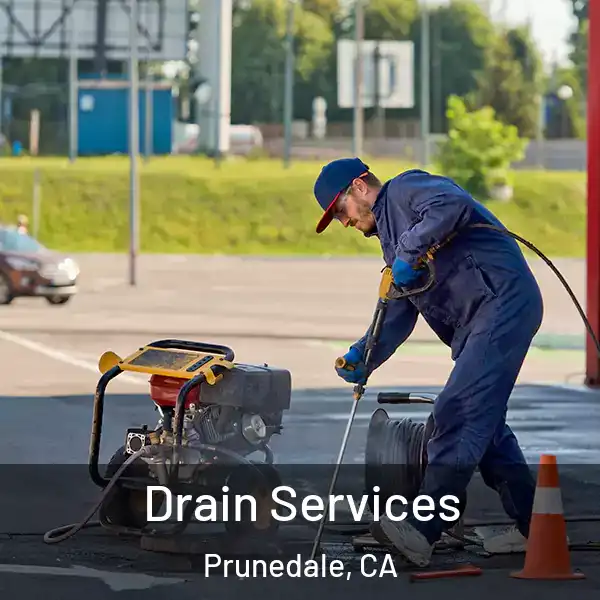  Drain Services Prunedale, CA