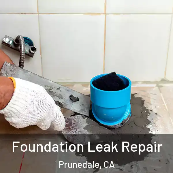  Foundation Leak Repair Prunedale, CA