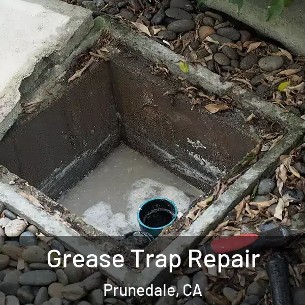  Grease Trap Repair Prunedale, CA