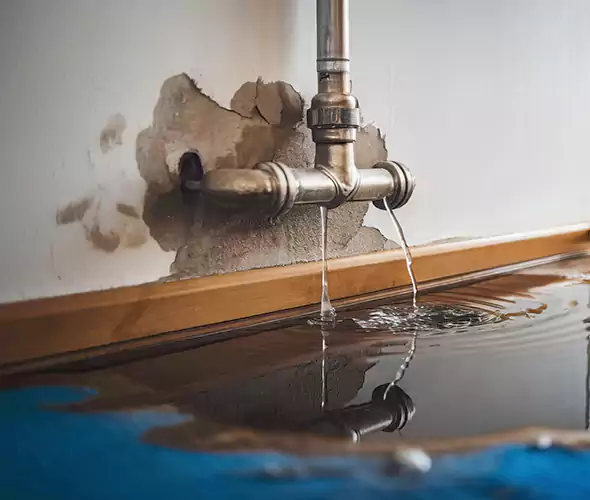 Professional Water Damage Restoration Experts in Prunedale, CA — Fast, Reliable & Certified