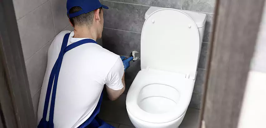 Toilet Lid Replacement in Prunedale