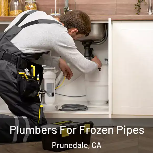  Plumbers For Frozen Pipes Prunedale, CA