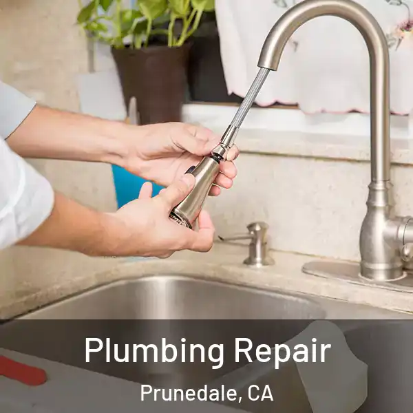  Plumbing Repair Prunedale, CA