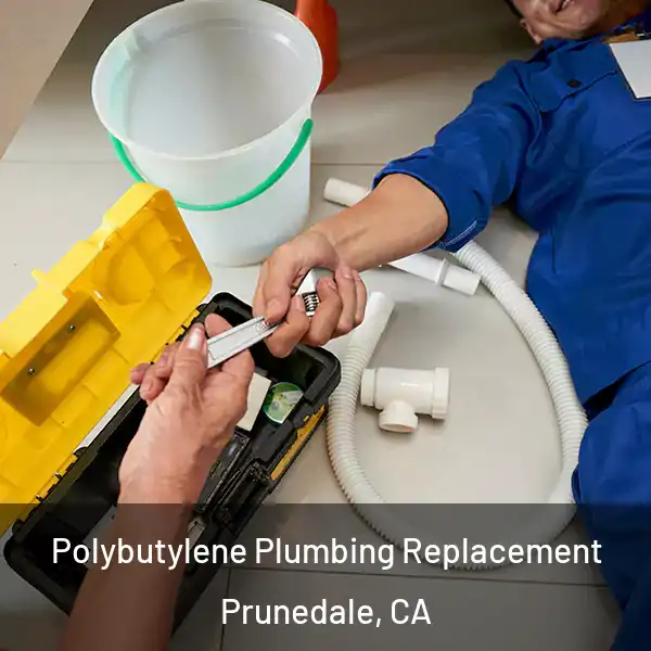  Polybutylene Plumbing Replacement Prunedale, CA