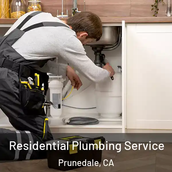  Residential Plumbing Service Prunedale, CA