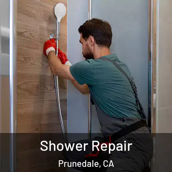  Shower Repair Prunedale, CA