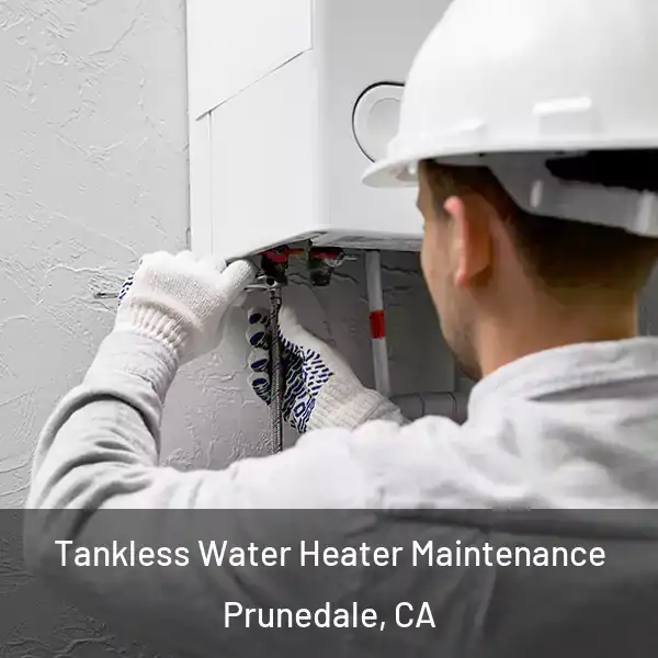  Tankless Water Heater Maintenance Prunedale, CA