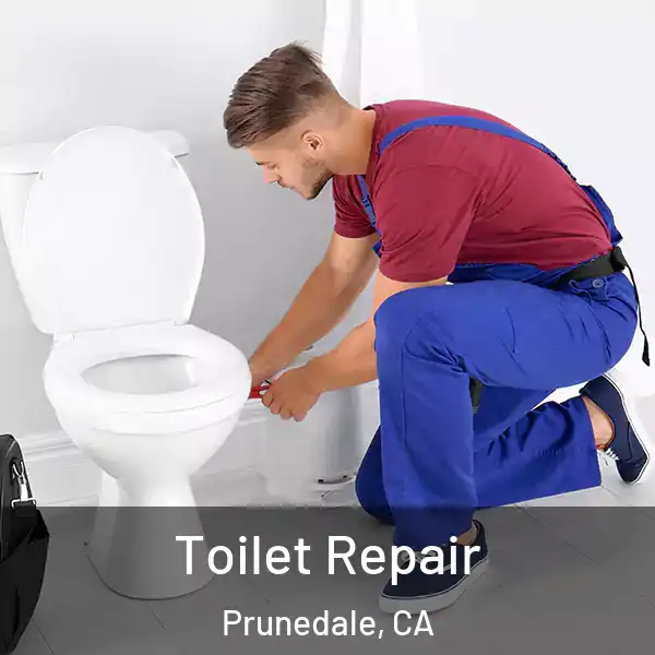  Toilet Repair Prunedale, CA