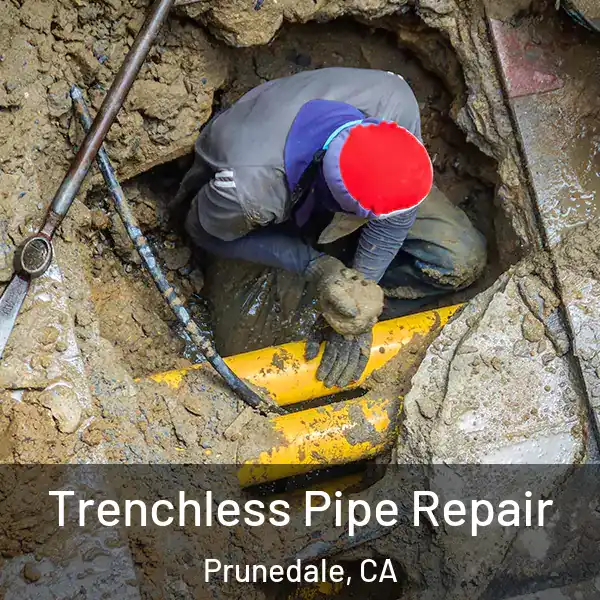 Trenchless Pipe Repair Prunedale, CA