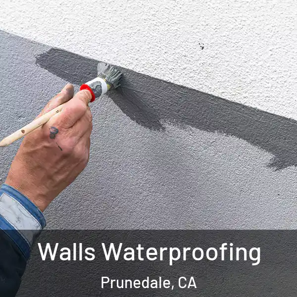  Walls Waterproofing Prunedale, CA