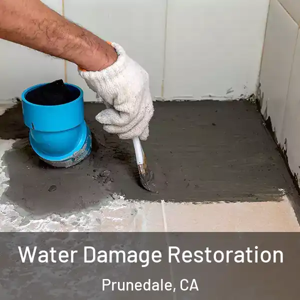  Water Damage Restoration Prunedale, CA