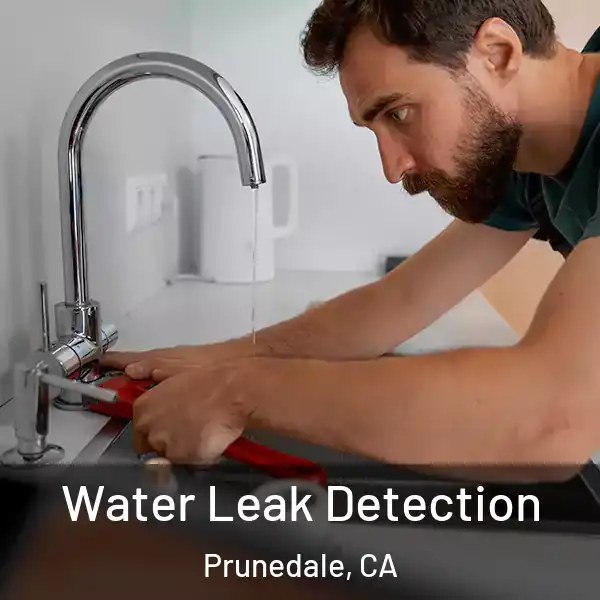  Water Leak Detection Prunedale, CA