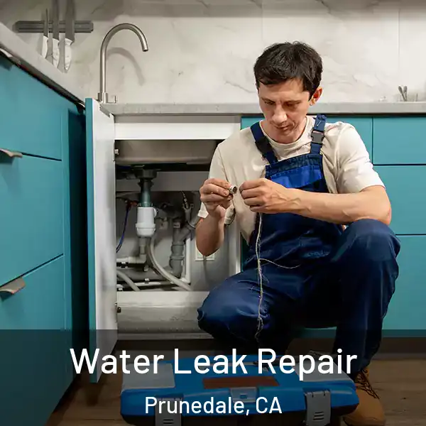  Water Leak Repair Prunedale, CA
