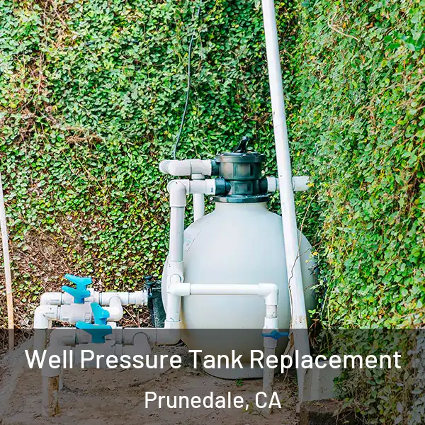  Well Pressure Tank Replacement Prunedale, CA