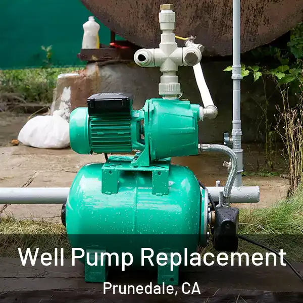  Well Pump Replacement Prunedale, CA